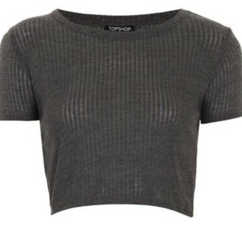 NWT Topshop Ribbed Crop Tee Top